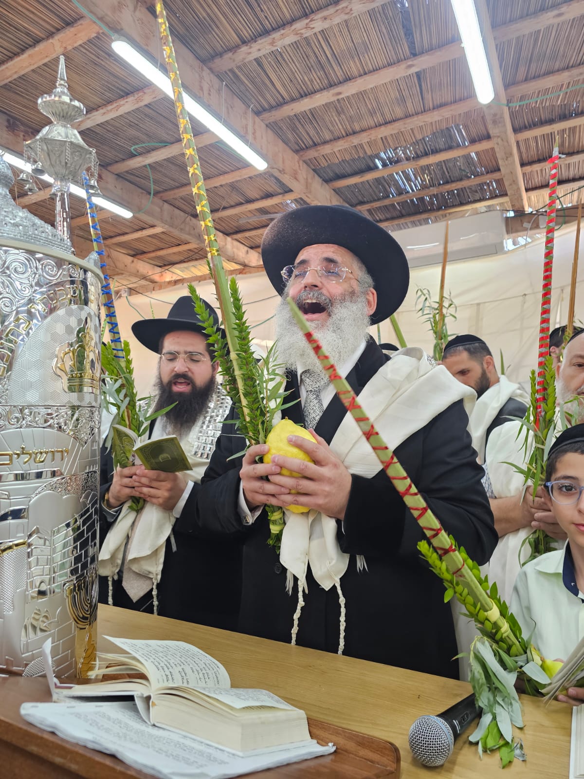 סוכות אצל הרה"צ רבי ישראל אברג'ל