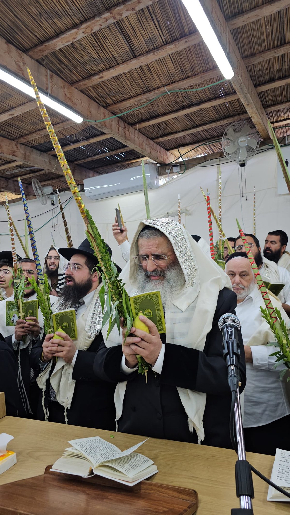 סוכות אצל הרה"צ רבי ישראל אברג'ל