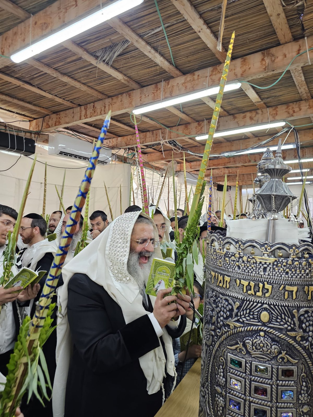 סוכות אצל הרה"צ רבי ישראל אברג'ל