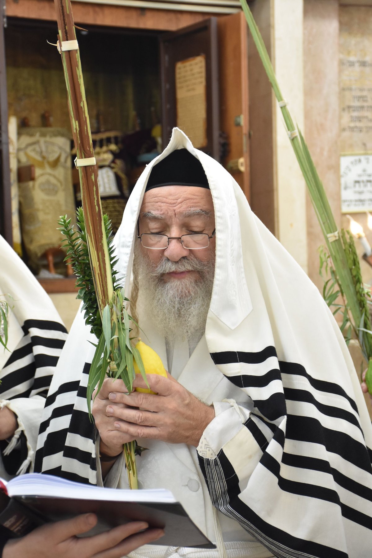 חג הסוכות - הושענא רבה - שמחת תורה, בחצה"ק אשלג