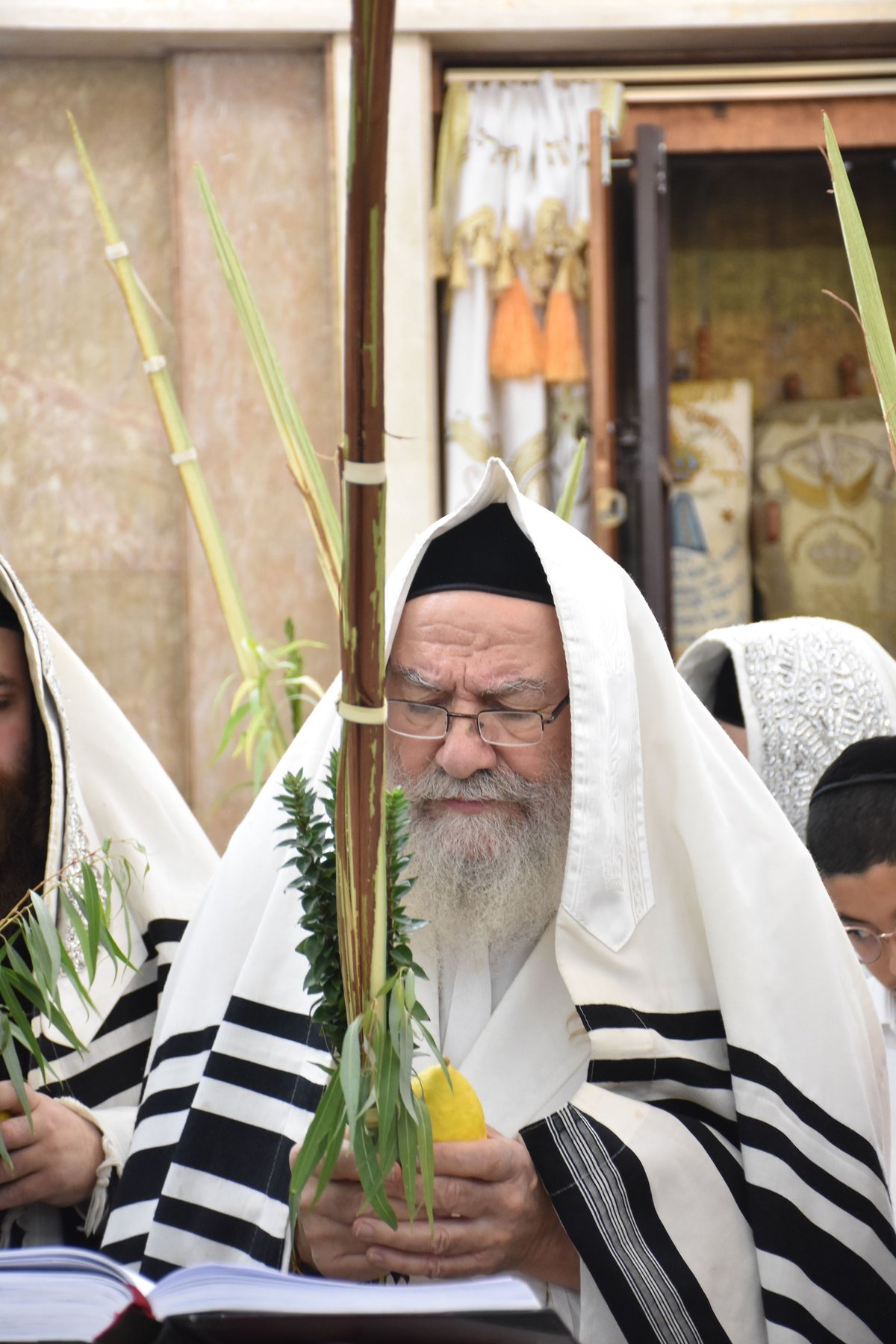 חג הסוכות - הושענא רבה - שמחת תורה, בחצה"ק אשלג