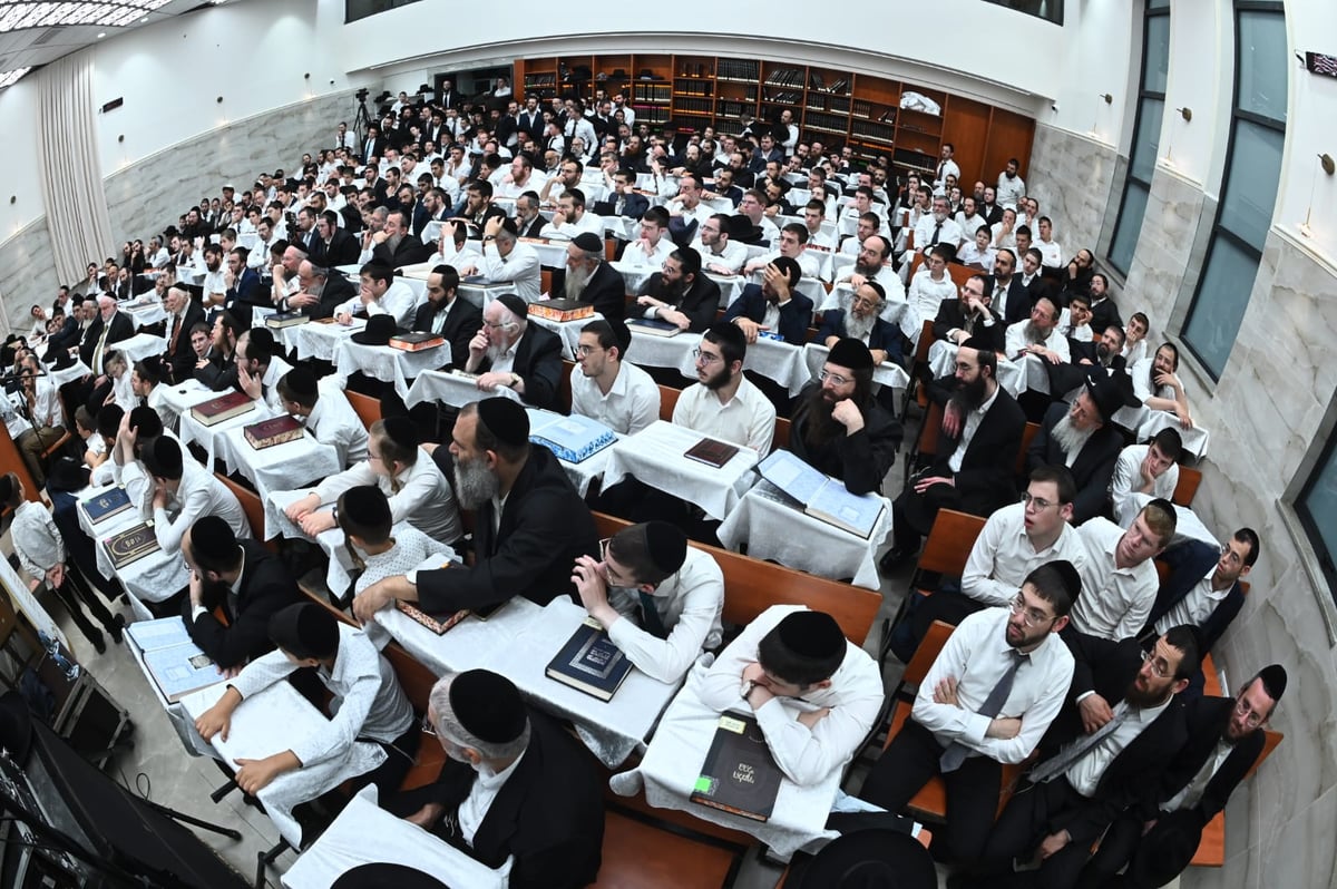 חג הסוכות אצל הגאון רבי אשר וייס גאב"ד דרכי הוראה 