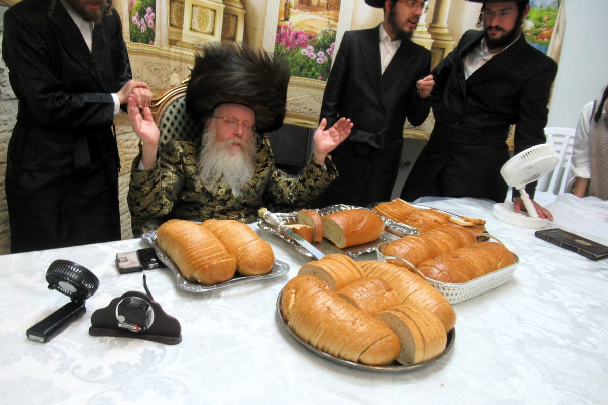 חג הסוכות בחצה"ק קרעטשניף קרית גת 