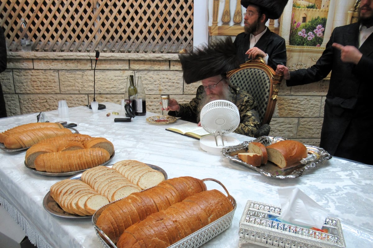 חג הסוכות בחצה"ק קרעטשניף קרית גת 