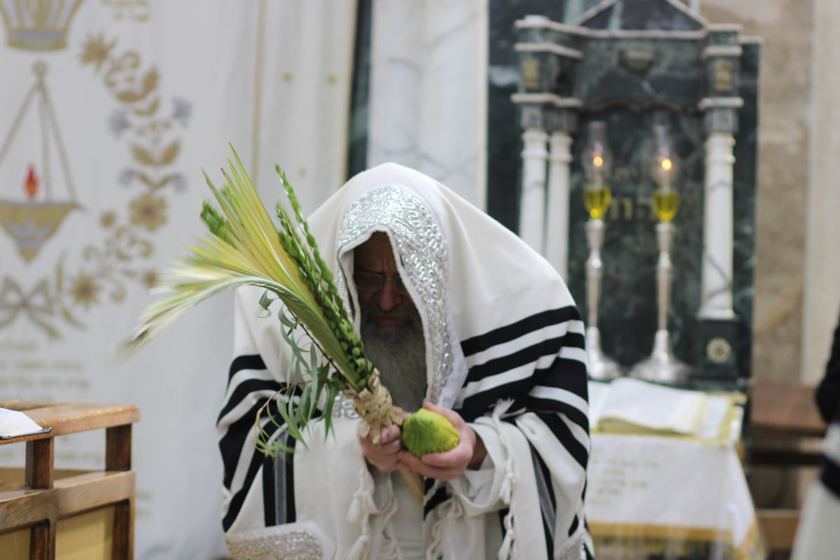 חג הסוכות בחצה"ק קומרנא