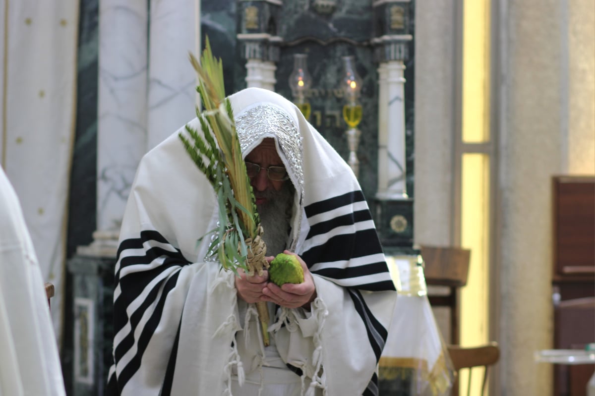 חג הסוכות בחצה"ק קומרנא