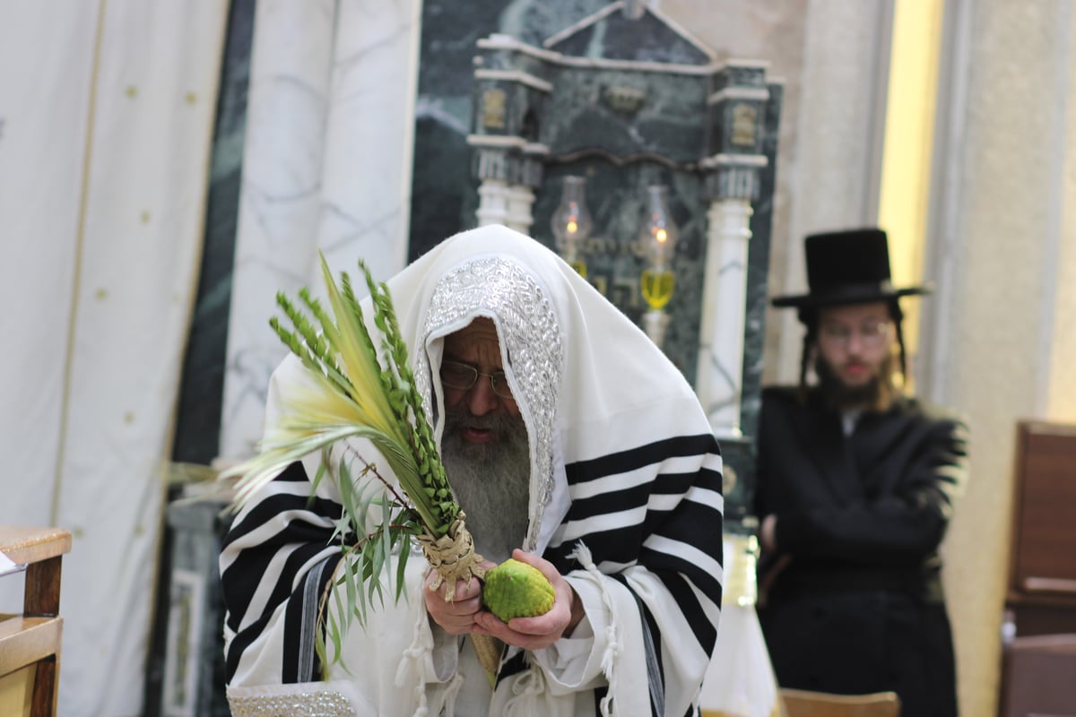 חג הסוכות בחצה"ק קומרנא