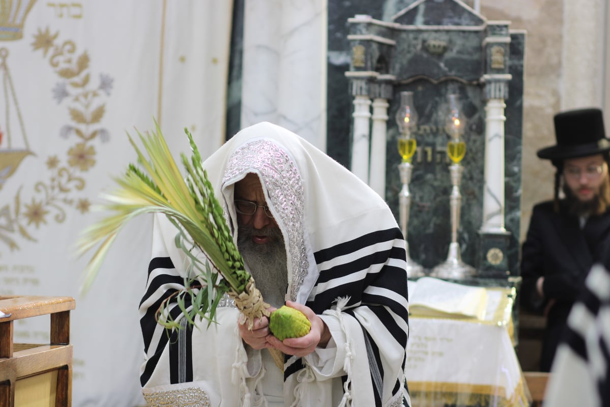 חג הסוכות בחצה"ק קומרנא