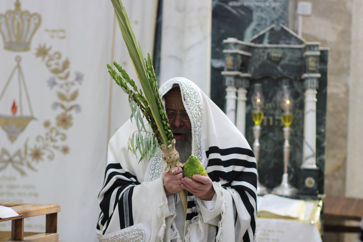 חג הסוכות בחצה"ק קומרנא