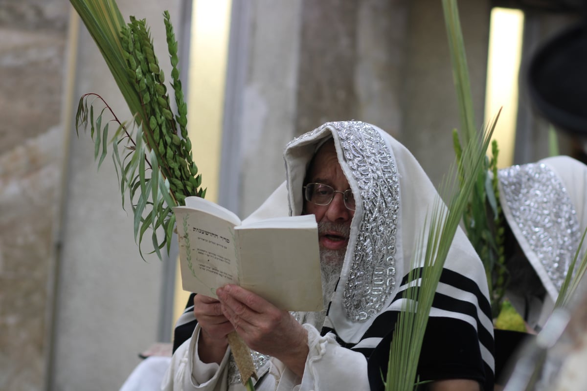 חג הסוכות בחצה"ק קומרנא