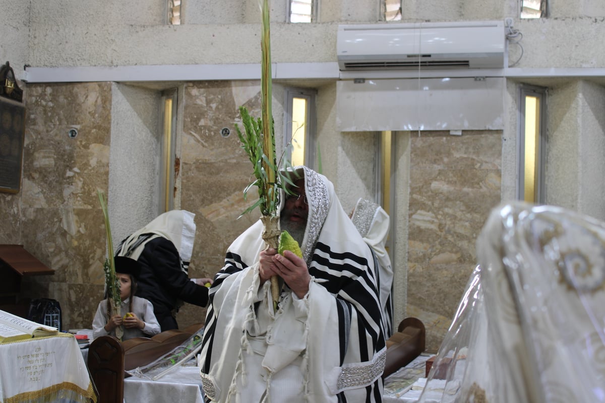 חג הסוכות בחצה"ק קומרנא