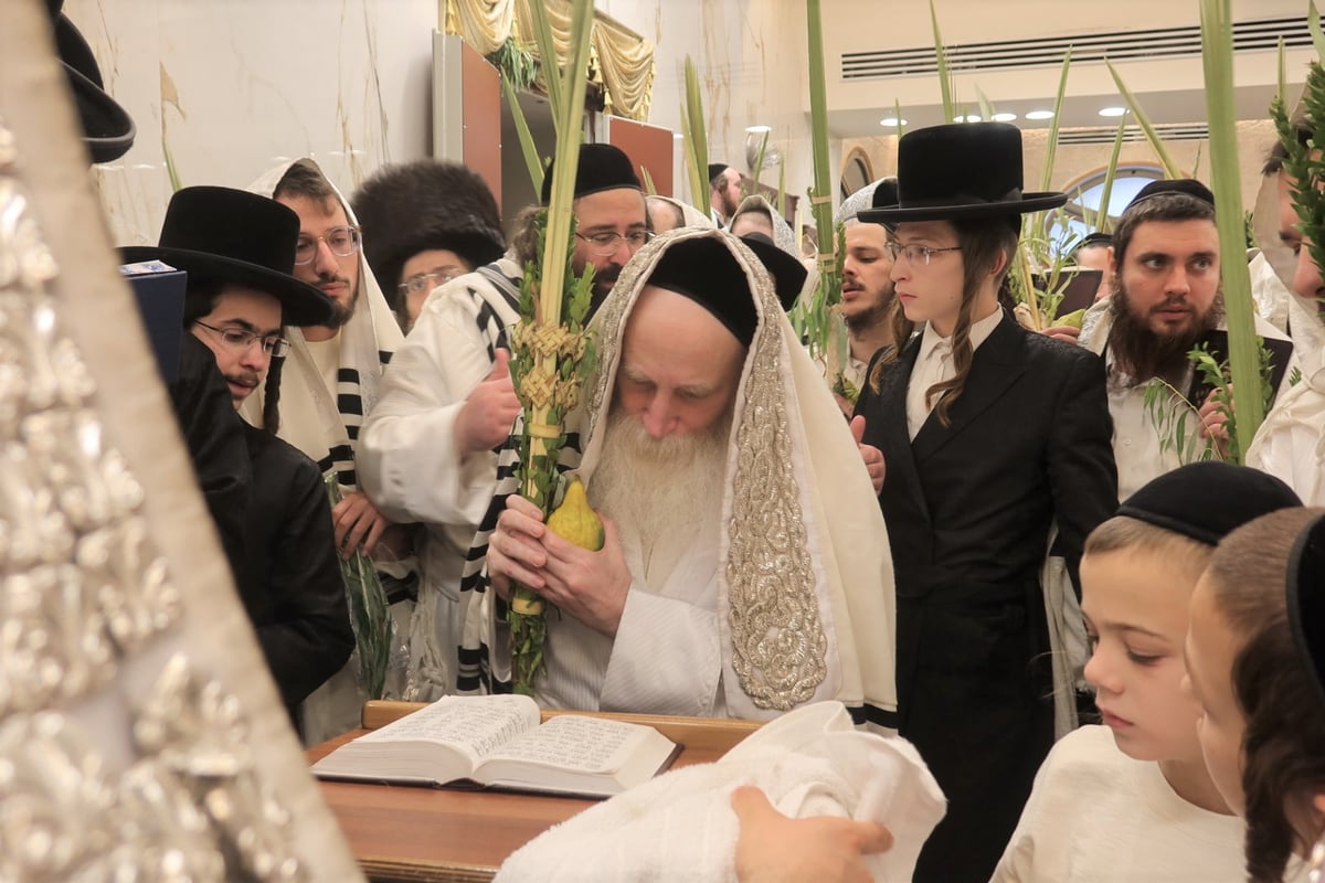 הגה"צ רבי יצחק מאיר מורגנשטרן בנטילת לולב 