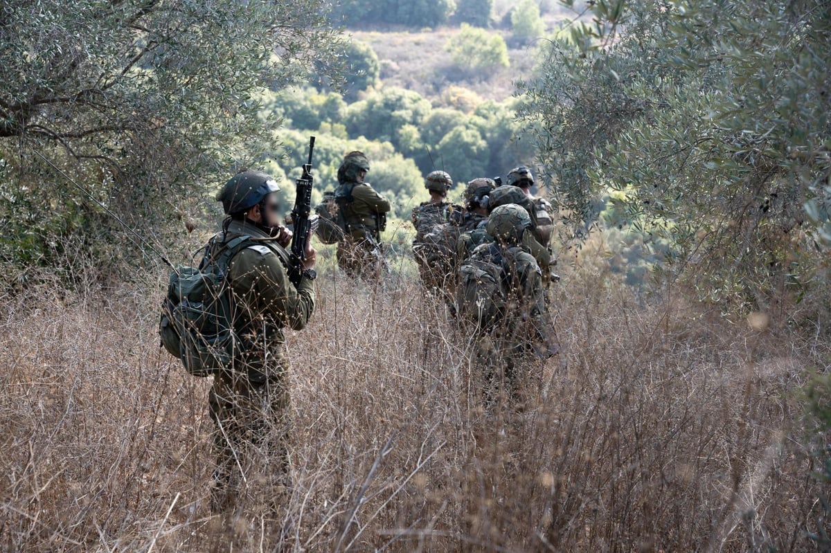 הפעילות בלבנון