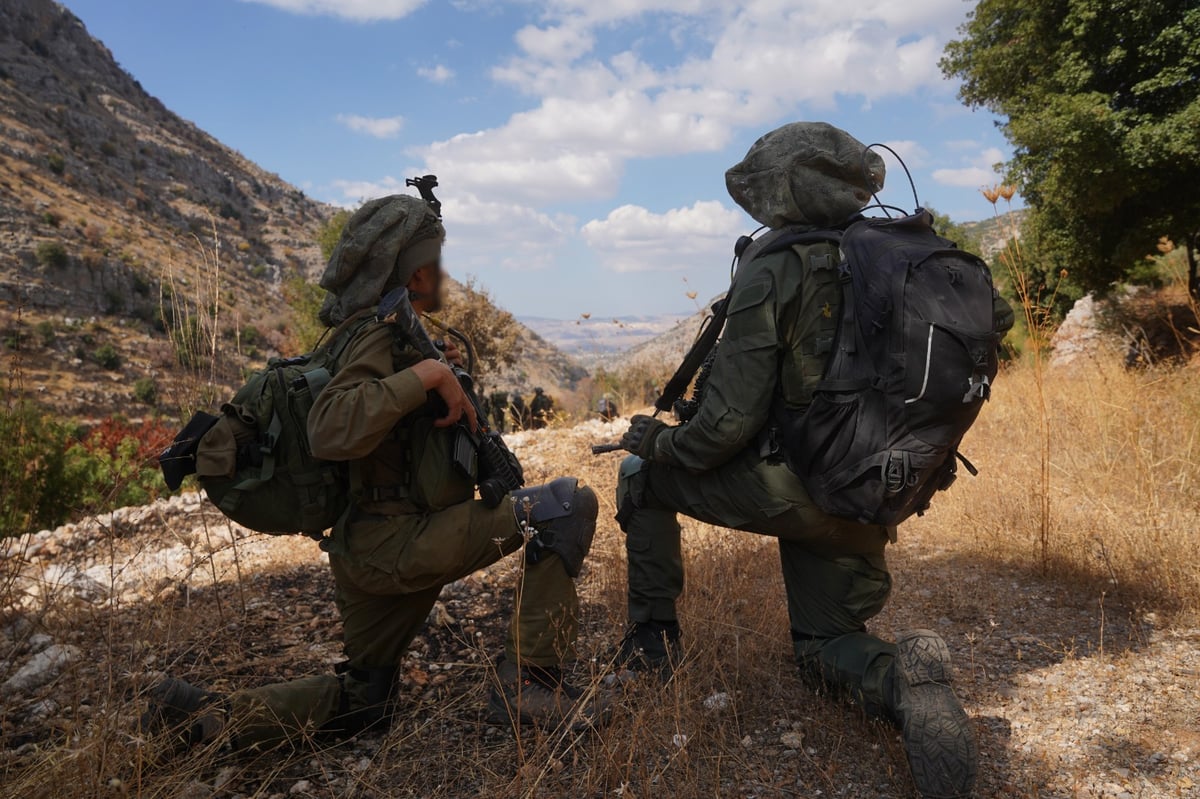 פעילות כוחות יחידת האלפיניסטים