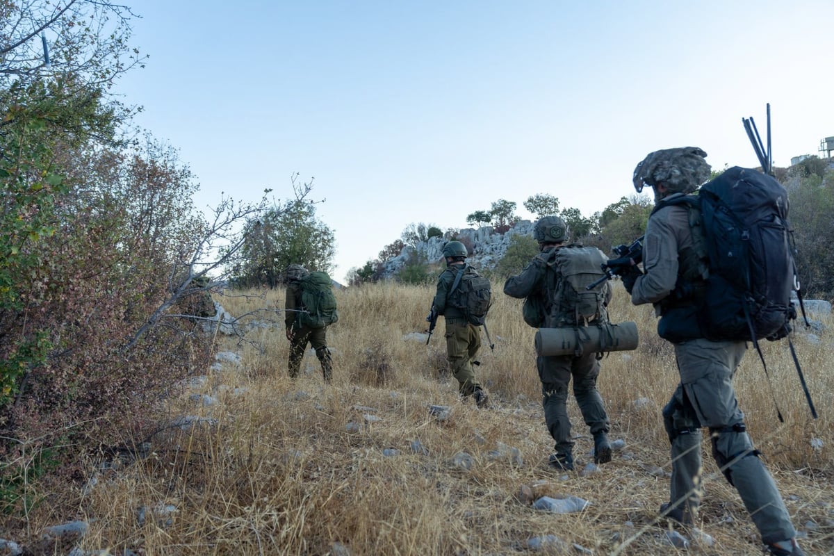 פעילות כוחות יחידת האלפיניסטים