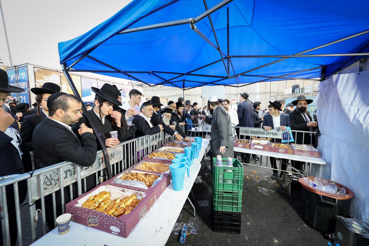 הילולת רחל אמנו ע"ה