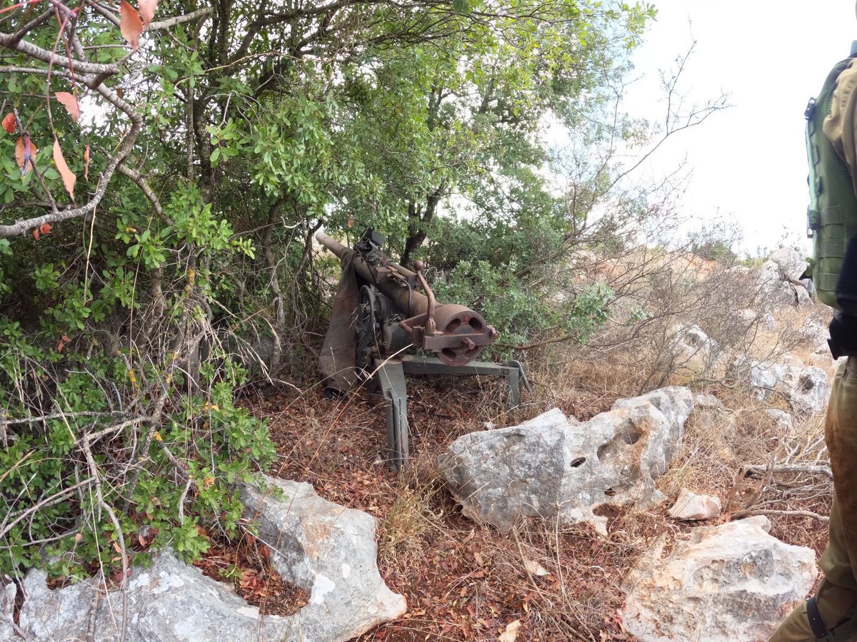 התותח בייצור איראני שאותר בין העצים והוחרם