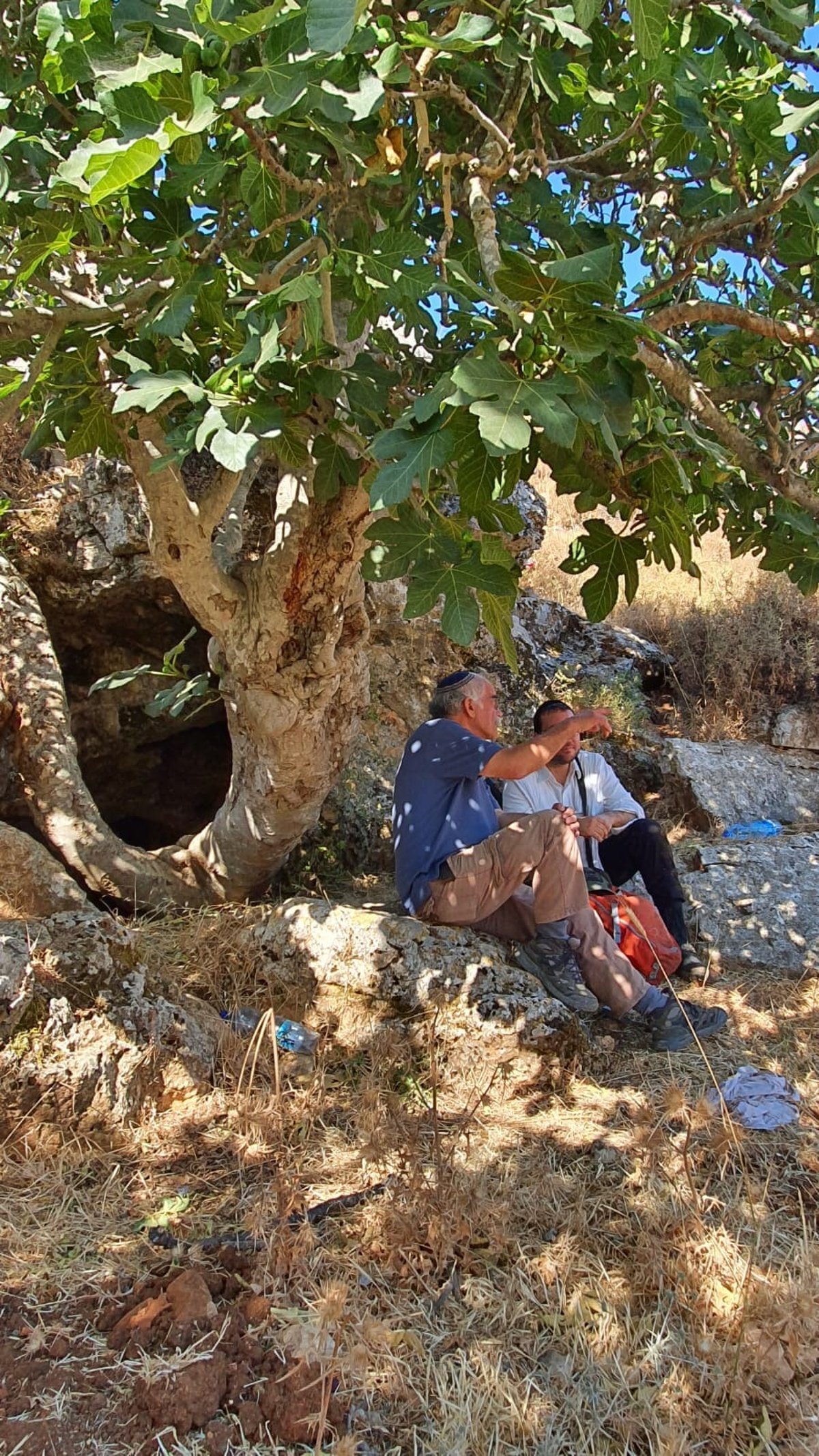 ז'אבו ארליך וכותב השורות משוחחים בצילו של עץ תאנה, לאחר ביקור במערת נטיפים ובתוכה מעיין נובע