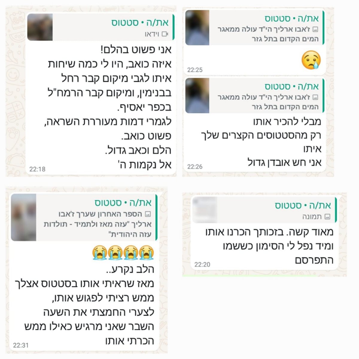 גולשים סופדים לז'אבו ארליך