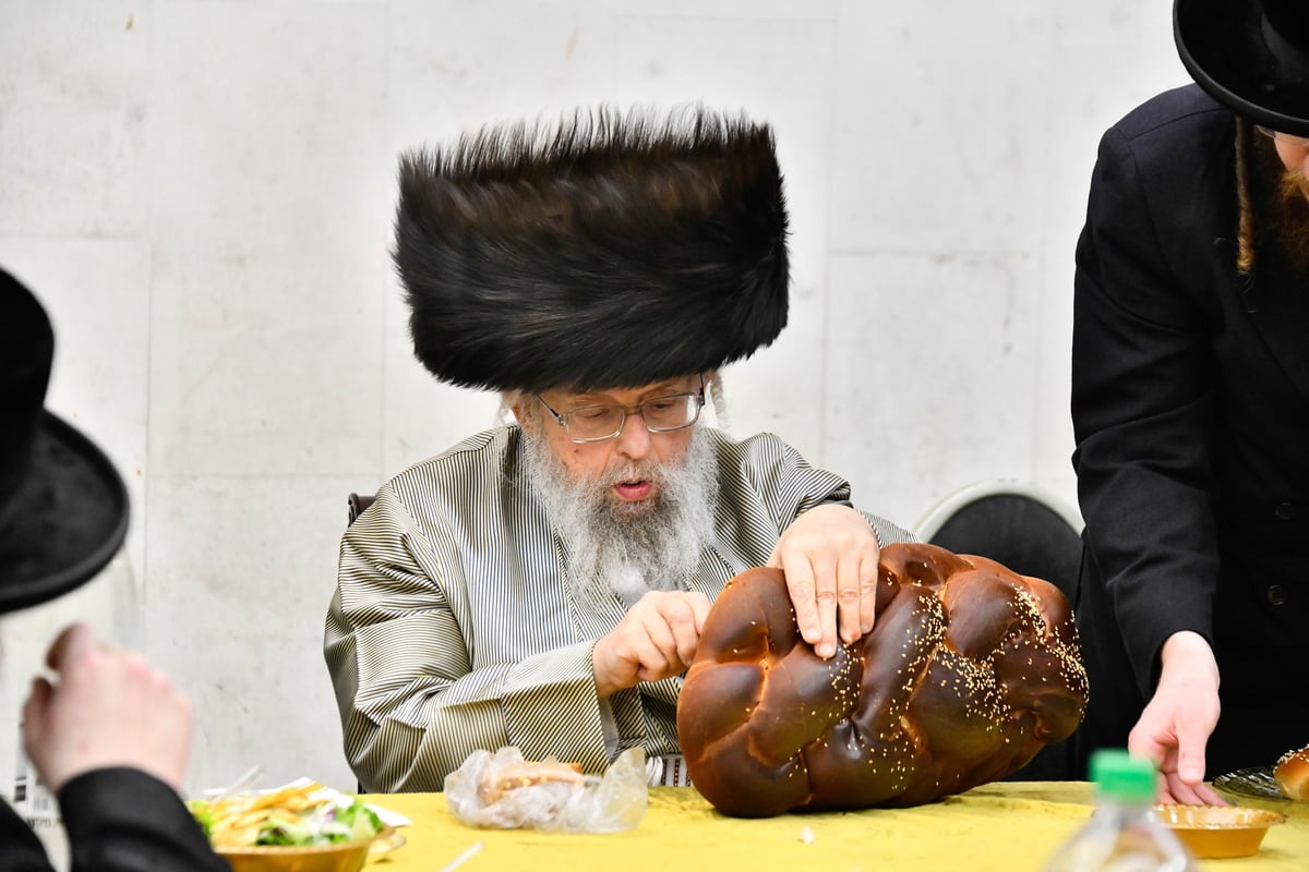 שמחת הברית לנכדיו התאומים של האדמו"ר מפינסק קרלין ואב"ד סעהרדעהלי