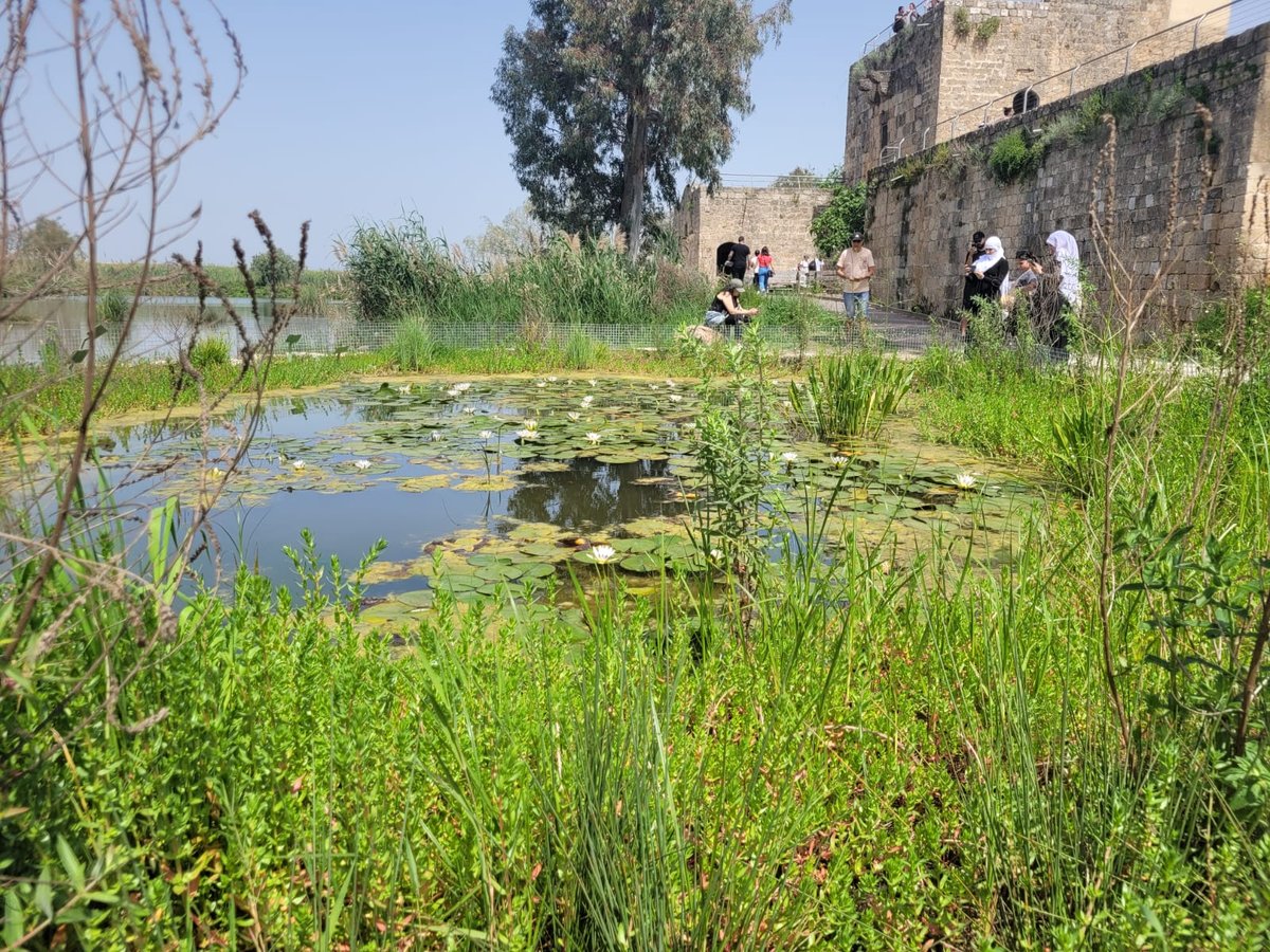 שמורת טבע עין אפק