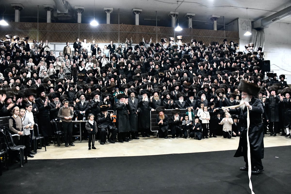 שמחת נישואי בת האדמו"ר מביאלה