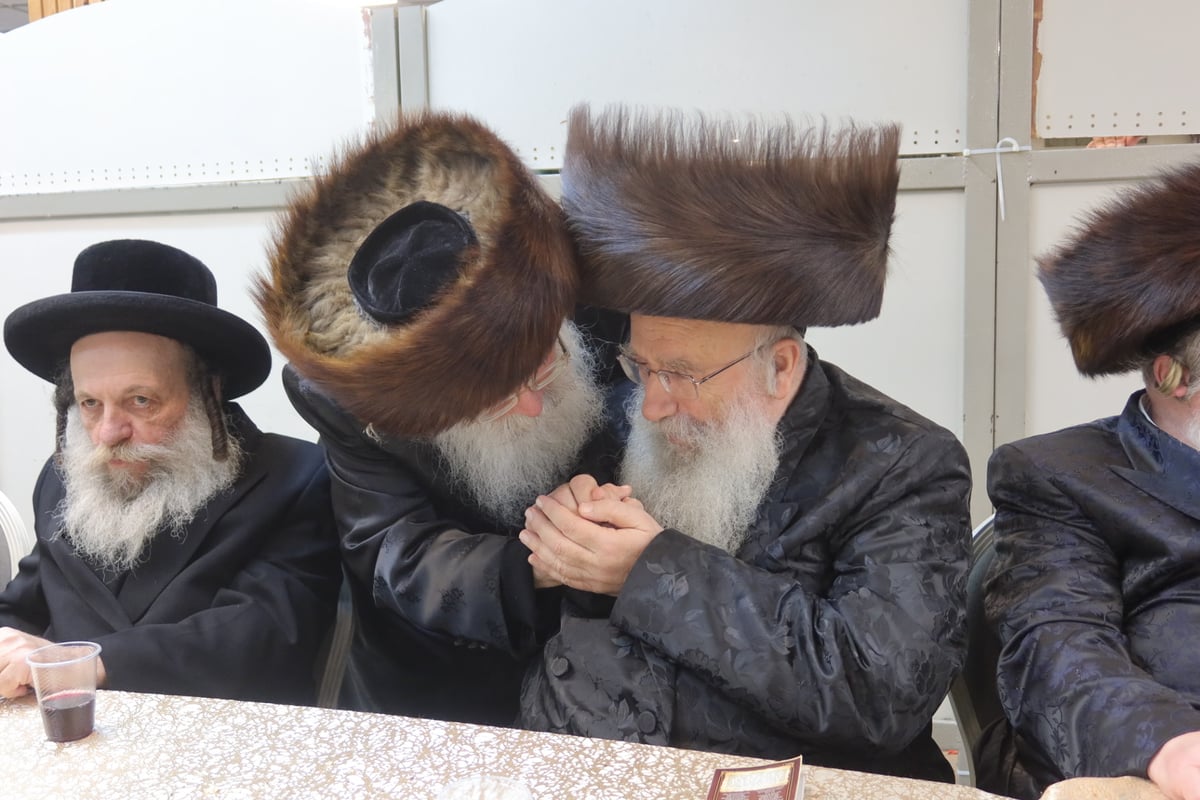 שמחת נישואי נכד הגרש"א שטרן - אב"ד בית חלקיה