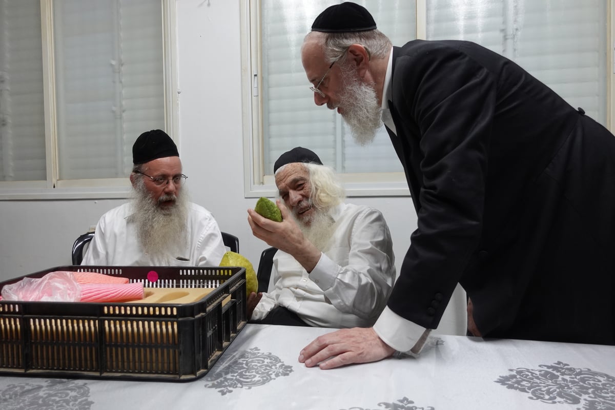 מראות חייו של הגאון רבי אשר דויטש זצוק"ל