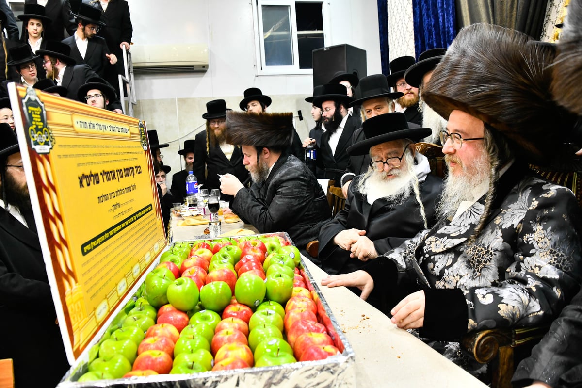 שמחת הש"ב בחצה"ק ביאלה ב"ב