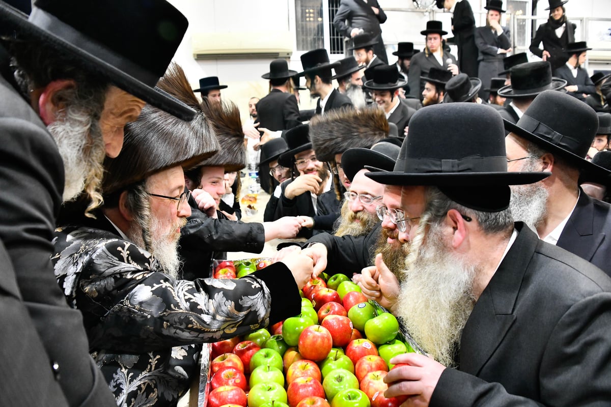 שמחת הש"ב בחצה"ק ביאלה ב"ב