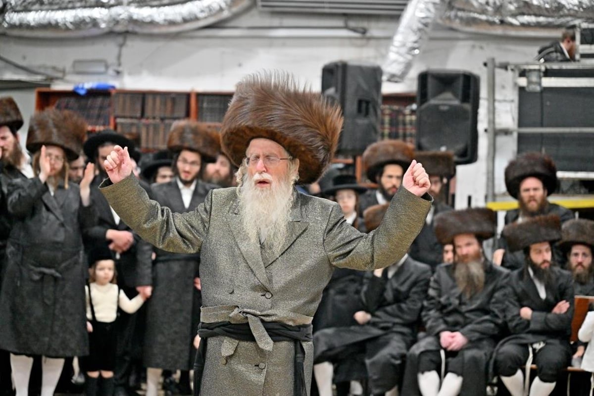 שמחת בית מכנובקא בעלזא - קרית צאנז - מעליץ - מאקווא אשדוד