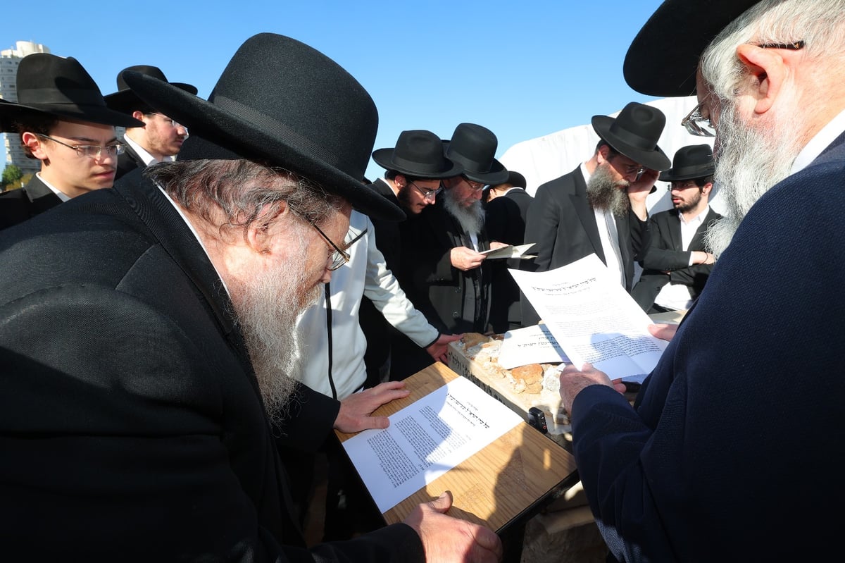 מעמד תפילה מיוחד על ציונו של הגראי"ל שטיינמן: "מקים מערך כשרות המקוואות..."