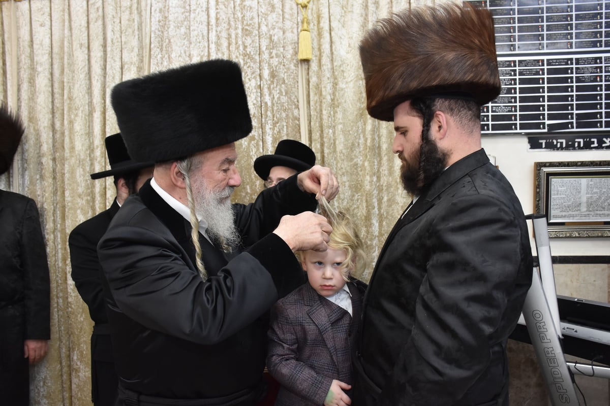 זאת חנוכה בחצה"ק אשלג