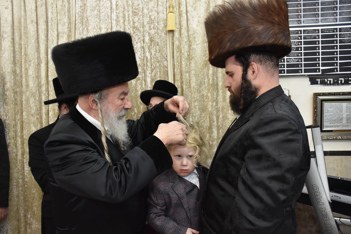 זאת חנוכה בחצה"ק אשלג