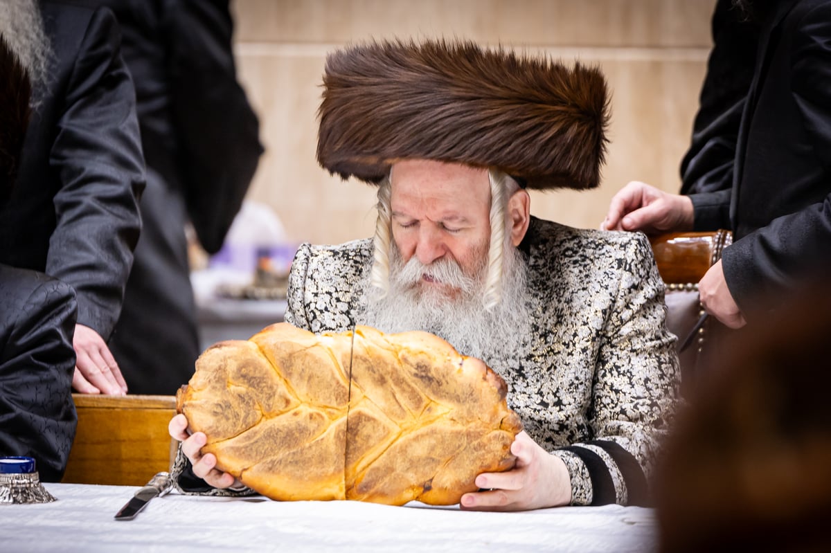 חנוכה בחצה"ק באבוב