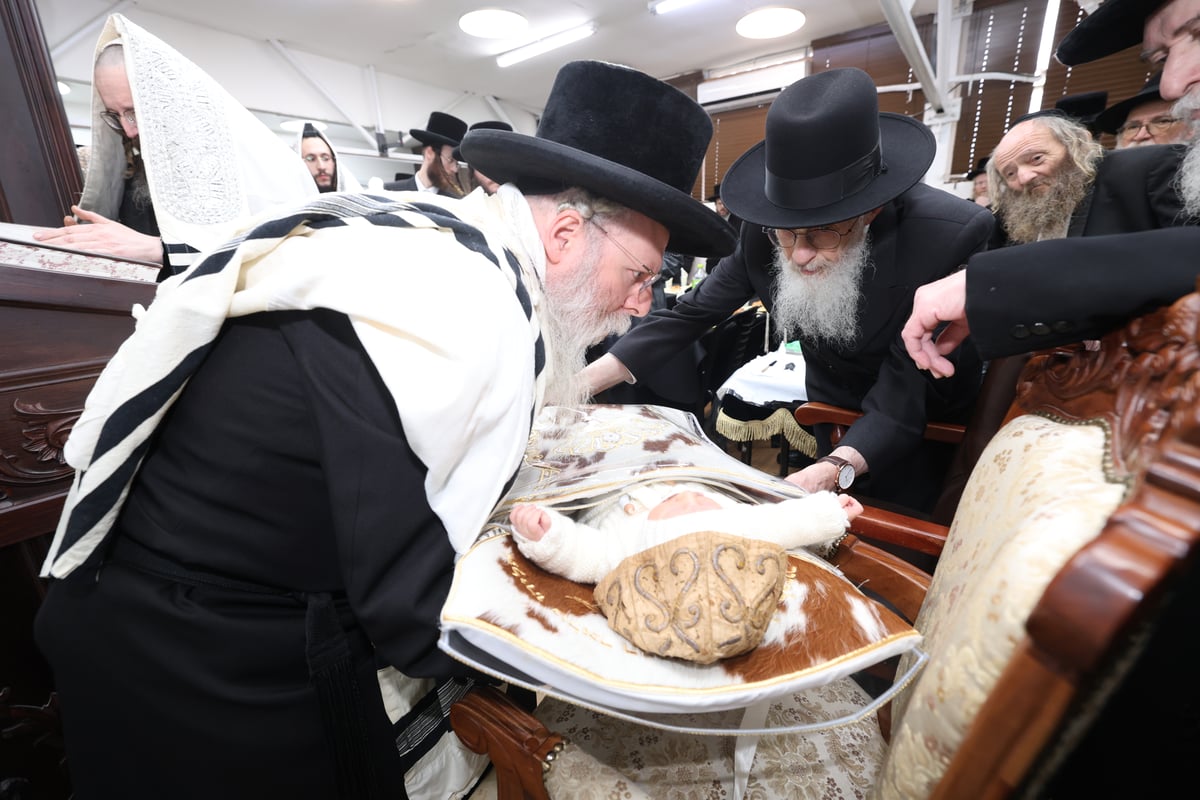 שמחת הברית בחצה"ק וואסלוי - זוטשקא ירושלים