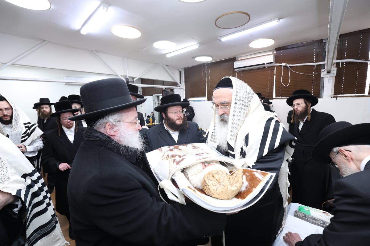 שמחת הברית בחצה"ק וואסלוי - זוטשקא ירושלים