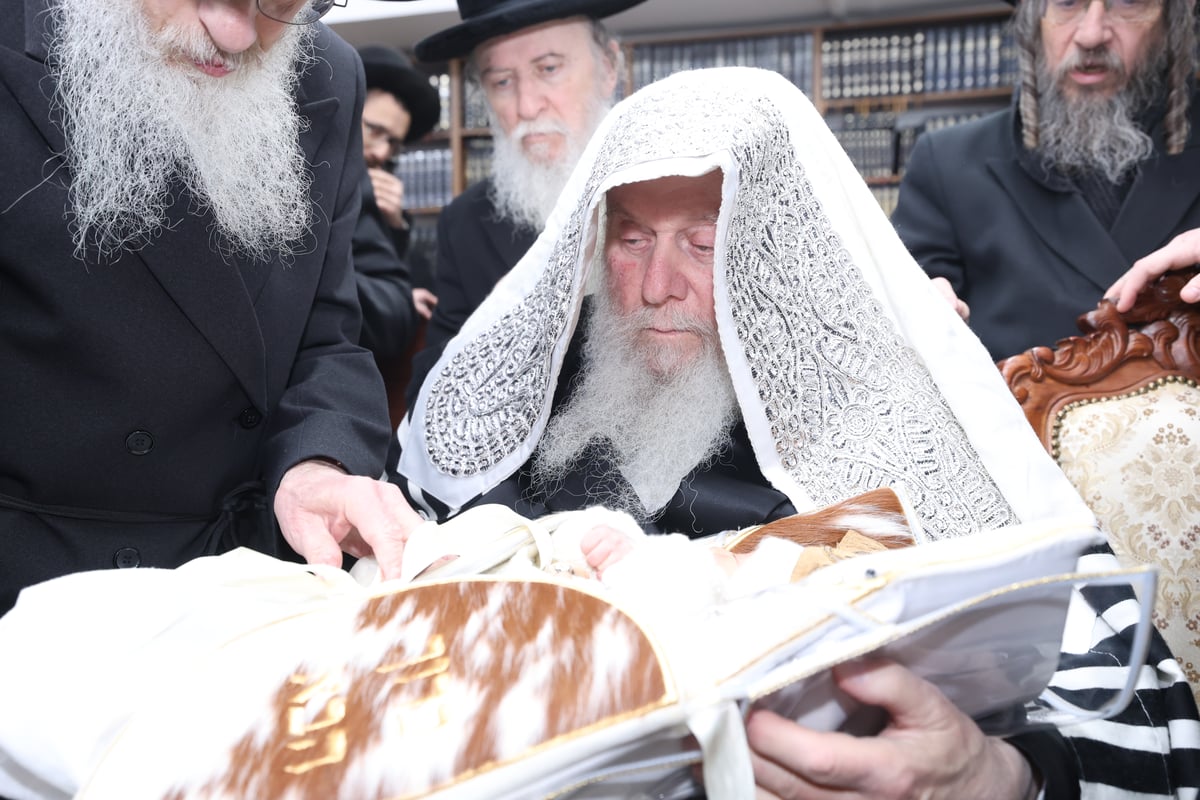 שמחת הברית בחצה"ק וואסלוי - זוטשקא ירושלים