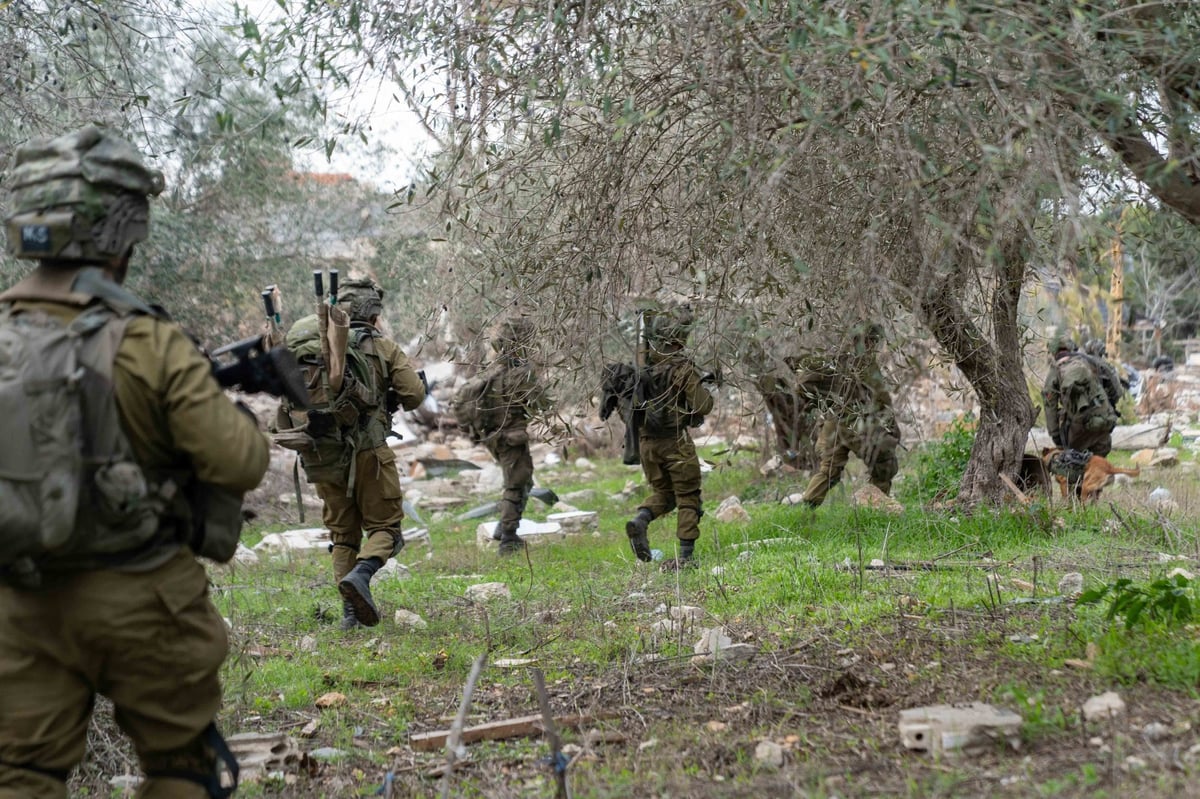 לוחמי צה"ל