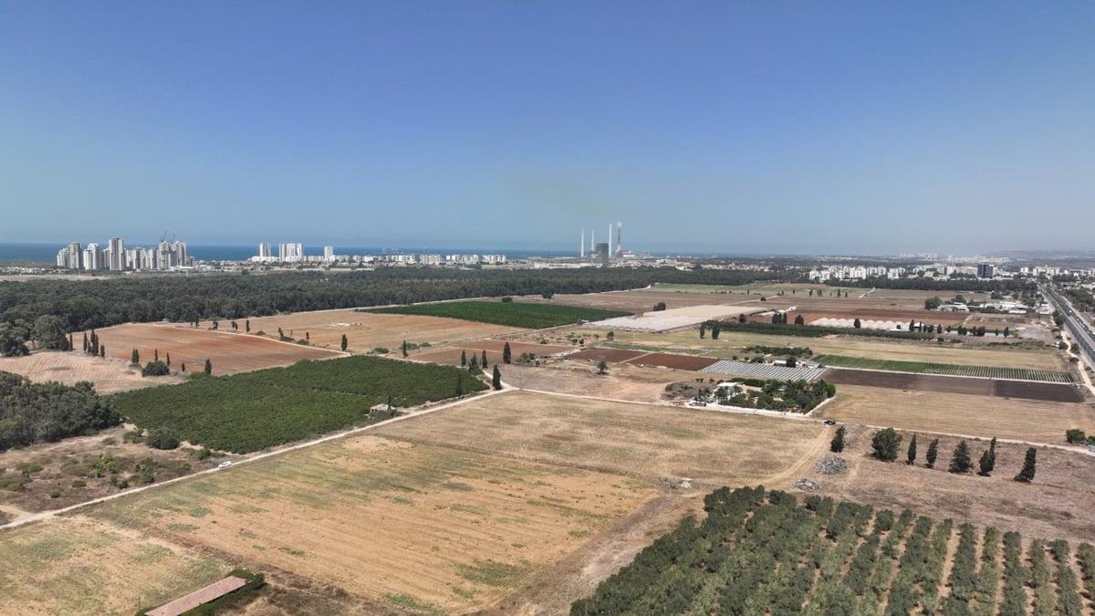 העיר, שמשלבת בין היסטוריה עשירה לתשתיות מודרניות, מושכת אליה משקיעים מכל רחבי הארץ