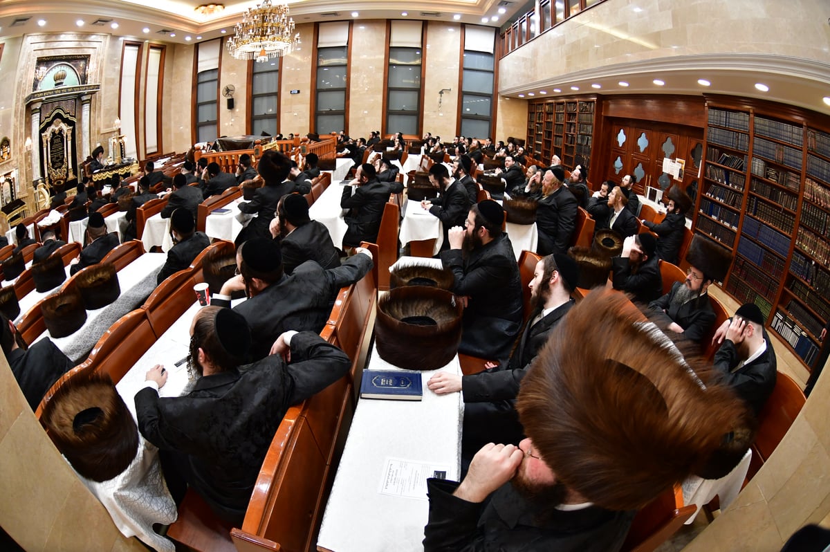 האדמו"ר משבט הלוי בשיעור בהלכות טהרה