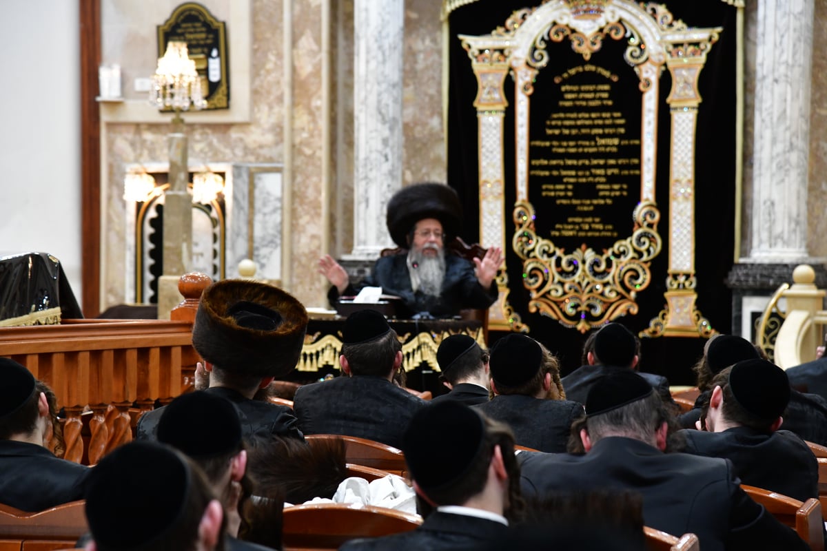 האדמו"ר משבט הלוי בשיעור בהלכות טהרה