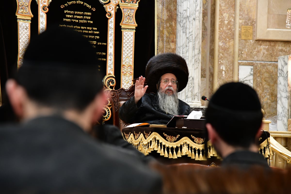 האדמו"ר משבט הלוי בשיעור בהלכות טהרה