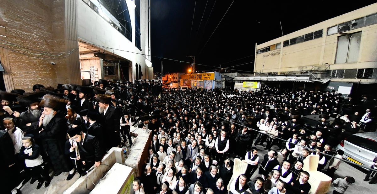 שמחת נישואי נכדת האדמו"ר מדארג