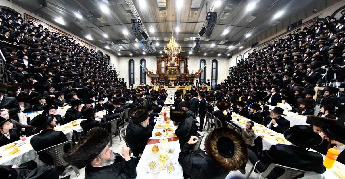 שמחת נישואי נכדת האדמו"ר מדארג