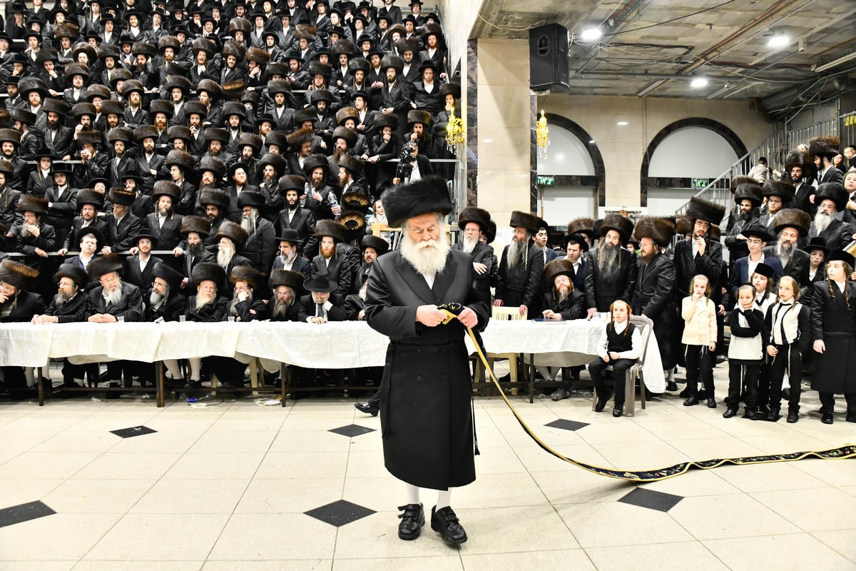 שמחת נישואי נכדת האדמו"ר מדארג