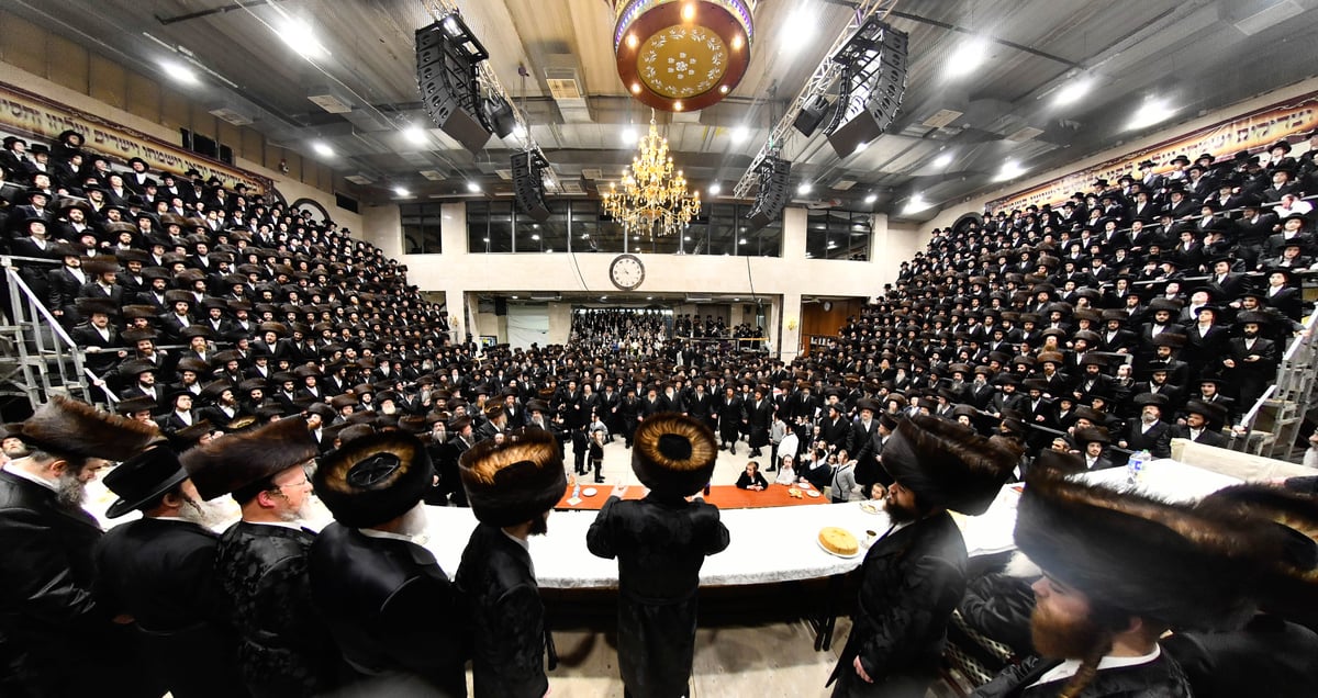 שמחת נישואי נכדת האדמו"ר מדארג