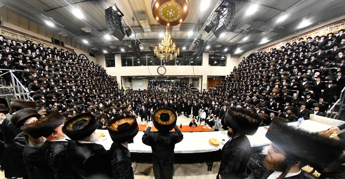 שמחת נישואי נכדת האדמו"ר מדארג