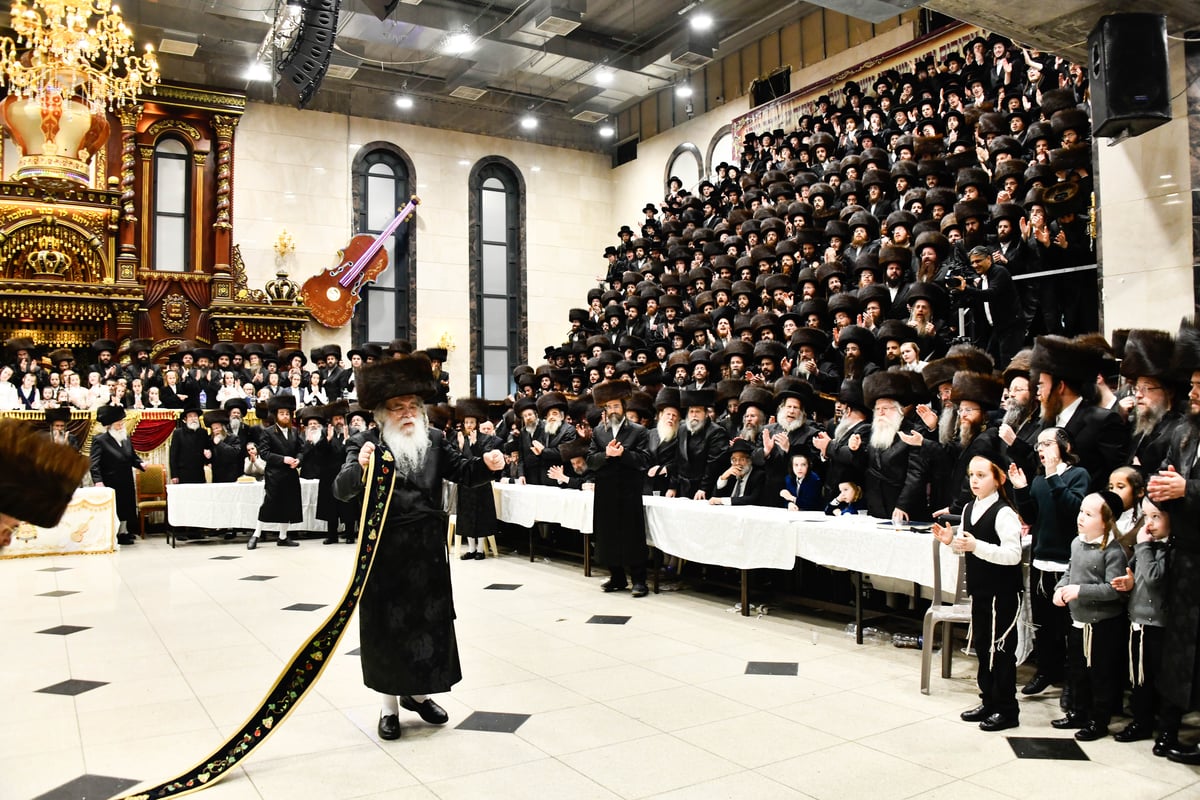 שמחת נישואי נכדת האדמו"ר מדארג