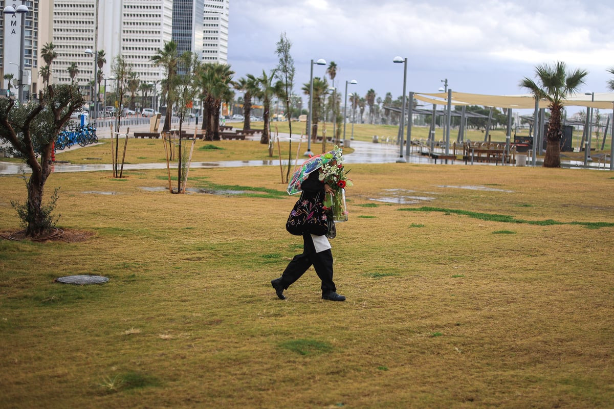 התחזית: הגשם חוזר ויתחזק בערב | ירידה בטמפרטורות